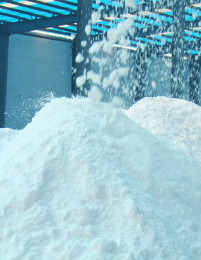 首页-人生就是博